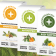 Aromatherapy: Aromatic Composition of Pure Essential Oils 10ml