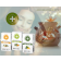 Aromatherapy: Aromatic Composition of Pure Essential Oils 10ml